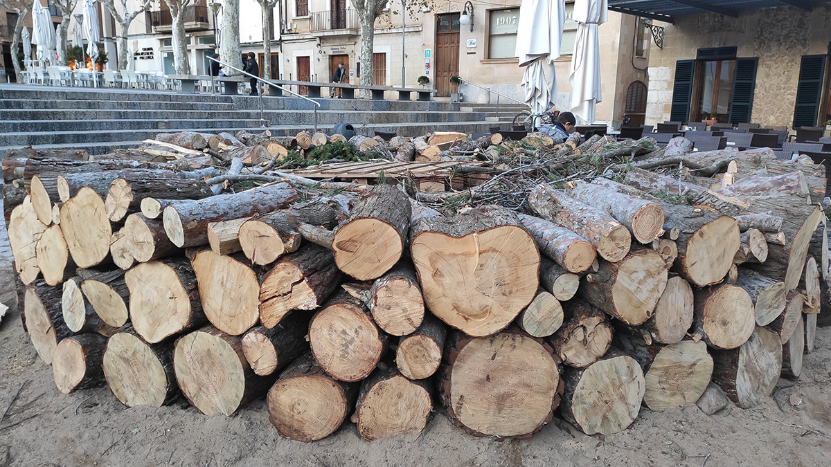 Stacks of firewood are prepared throughout the town - on the night of St. Anthony, large bonfires will be burned here
