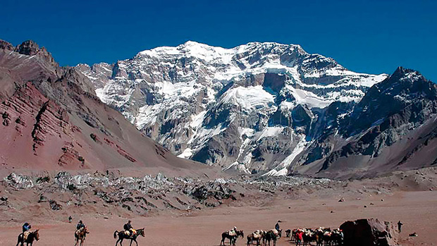 Climbing Mount Aconcagua - the use of pack animals significantly simplifies expedition logistics