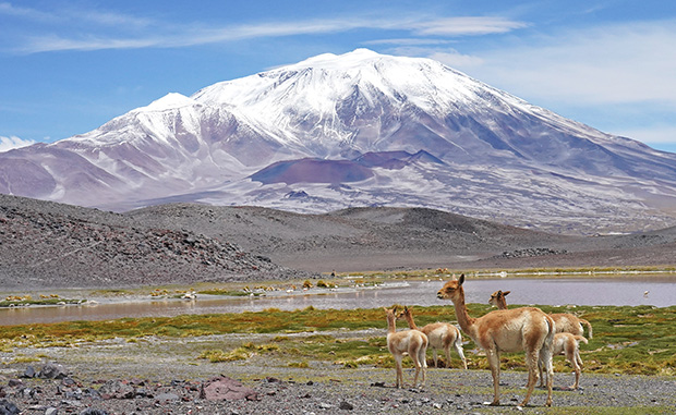 MCS AlexClimb high altitude acclimatization program in the area of the volcano Ojos del Salado