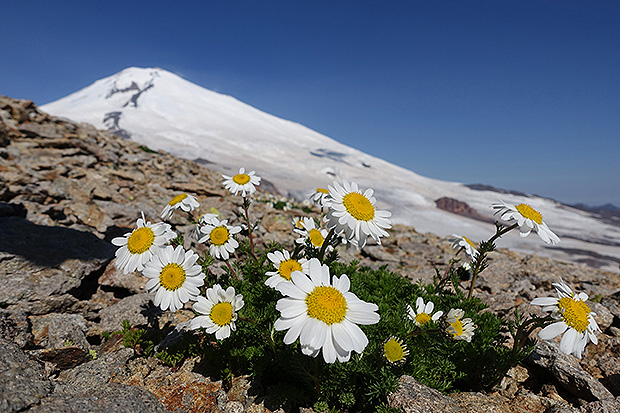 Climbing Mount Elbrus from the East