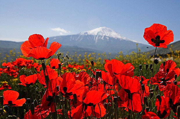 Mount Ararat in Turkey
