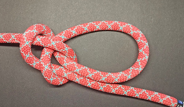 Bowline knot