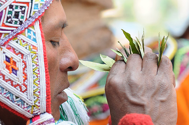 Coca leaves still have important symbolic meaning in many South American cultures