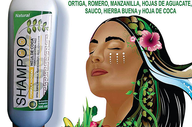 Shampoo with coca leaf extract