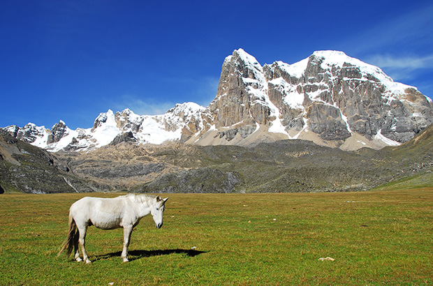 One day you should travel to Cordillera Huayhuash, Peru