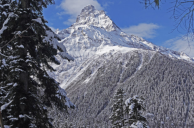 Belolakaya is almost the Matterhorn. The famous Dombay peak, closing the gorge of the Amanaus River