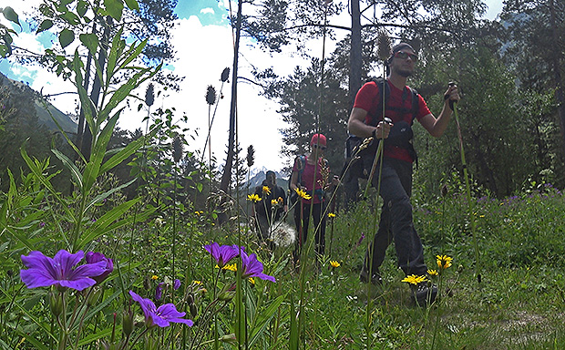 На программе 