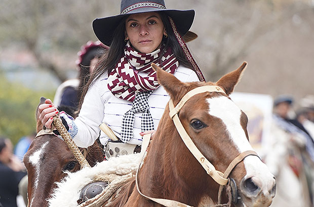 All participants in the procession of gauchos, including horses, looked very cute