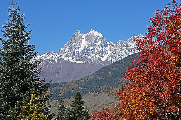 Красавица Ушба - символ альпинизма на Кавказе