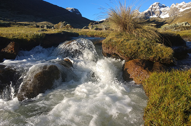 Cordillera Huayhuash - where there is water, there is life