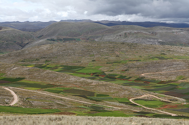 Cultivating these fields at altitudes of over 3,000 meters is incredibly hard work