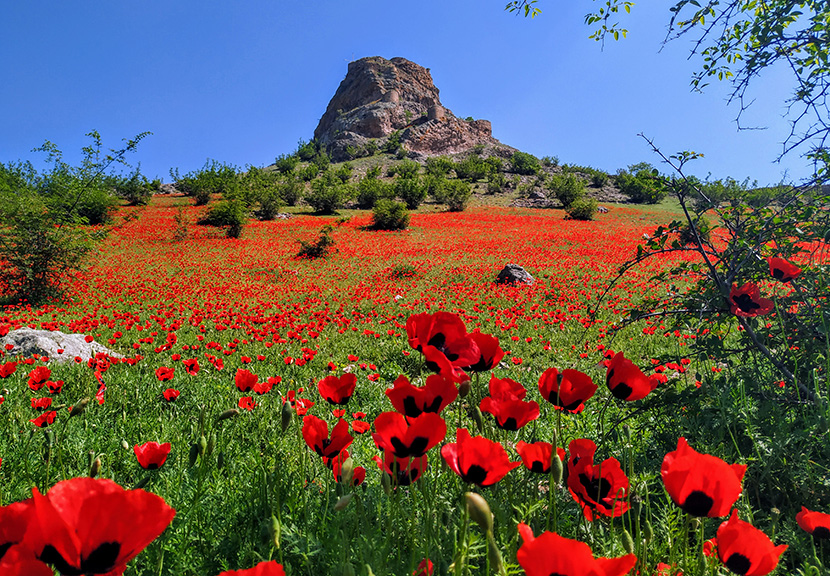 Rockclimbing vacations with MCS AlexClimb in Georgia - Chiatura - Katzkhi - Tsveri - Kutaisi - Tbilisi