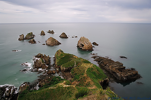 Mountain climbing, trekking and rockclimbing in New Zealand