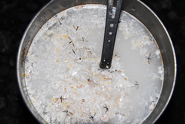 Каша с комарами на высоте 3000 метров