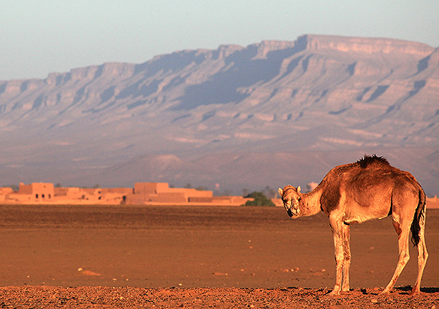 Марокко - на границе пустыни Сахара