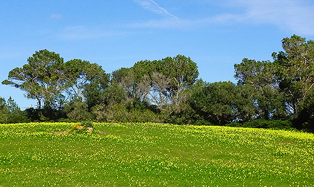 Если бы была возможность выбора рая – я бы предпочёл именно такой