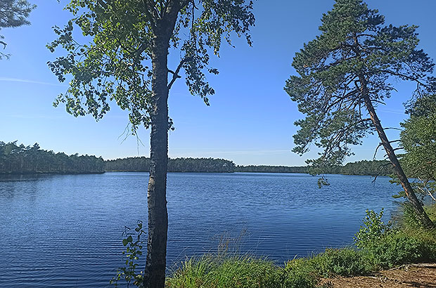 Field navigation in central Russia when searching for the best places for fishing