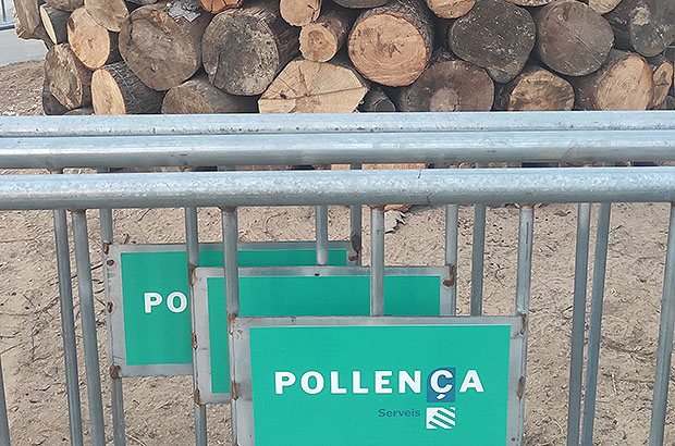 In the streets of the town of Pollença, firewood is prepared for fires on St. Anthony's night