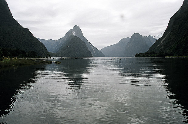 Beautiful trekking in the Milford Sound fjord in New Zealand, after climbing Mount Cook