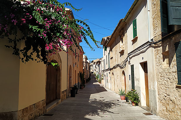 Walk through the historic center of Alcudia